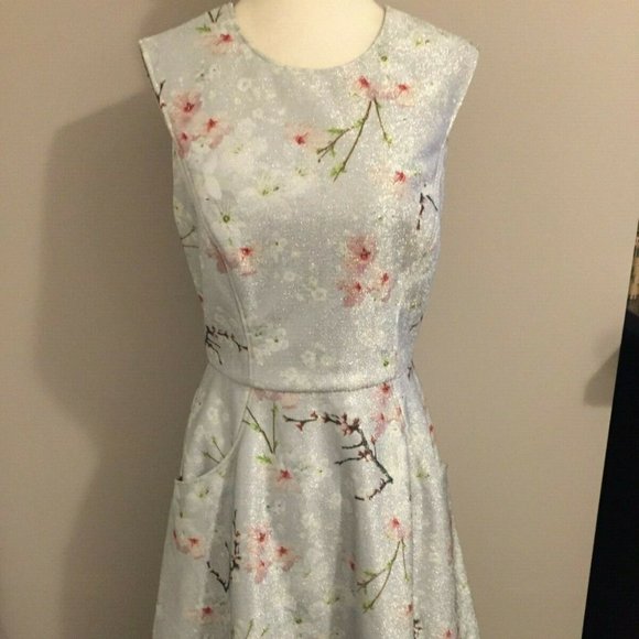 RARE Ted Baker ORIENTAL BLOSSOM FIT N FLARE DRESS TB 2 / US 4-6 - Picture 1 of 12